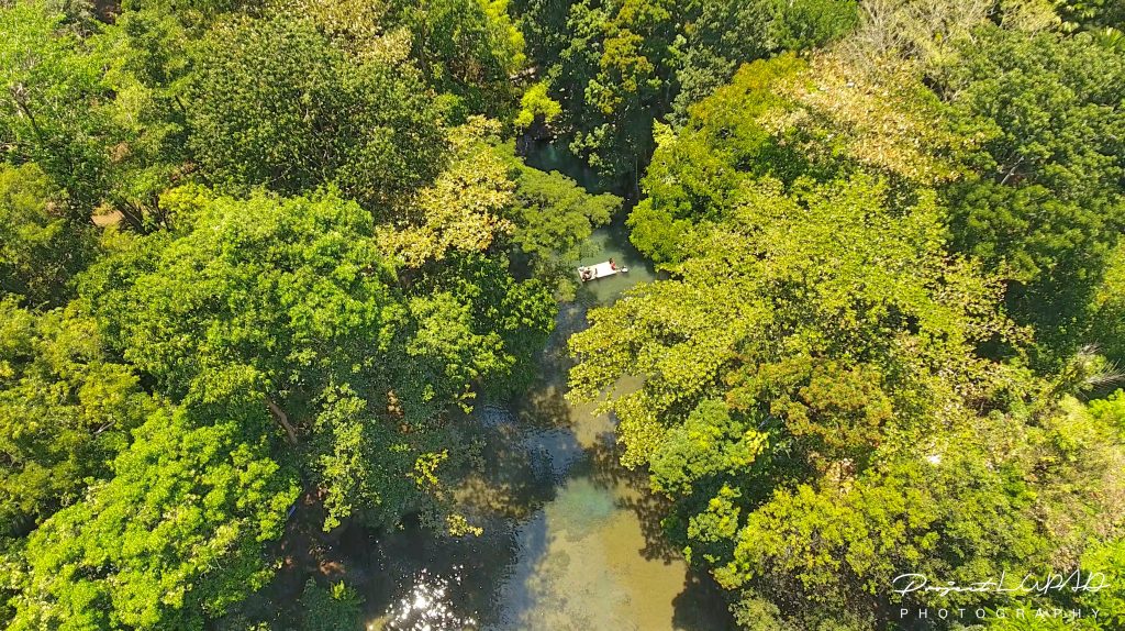 PHOTOS: Nasuli Spring Bukidnon Aerial View