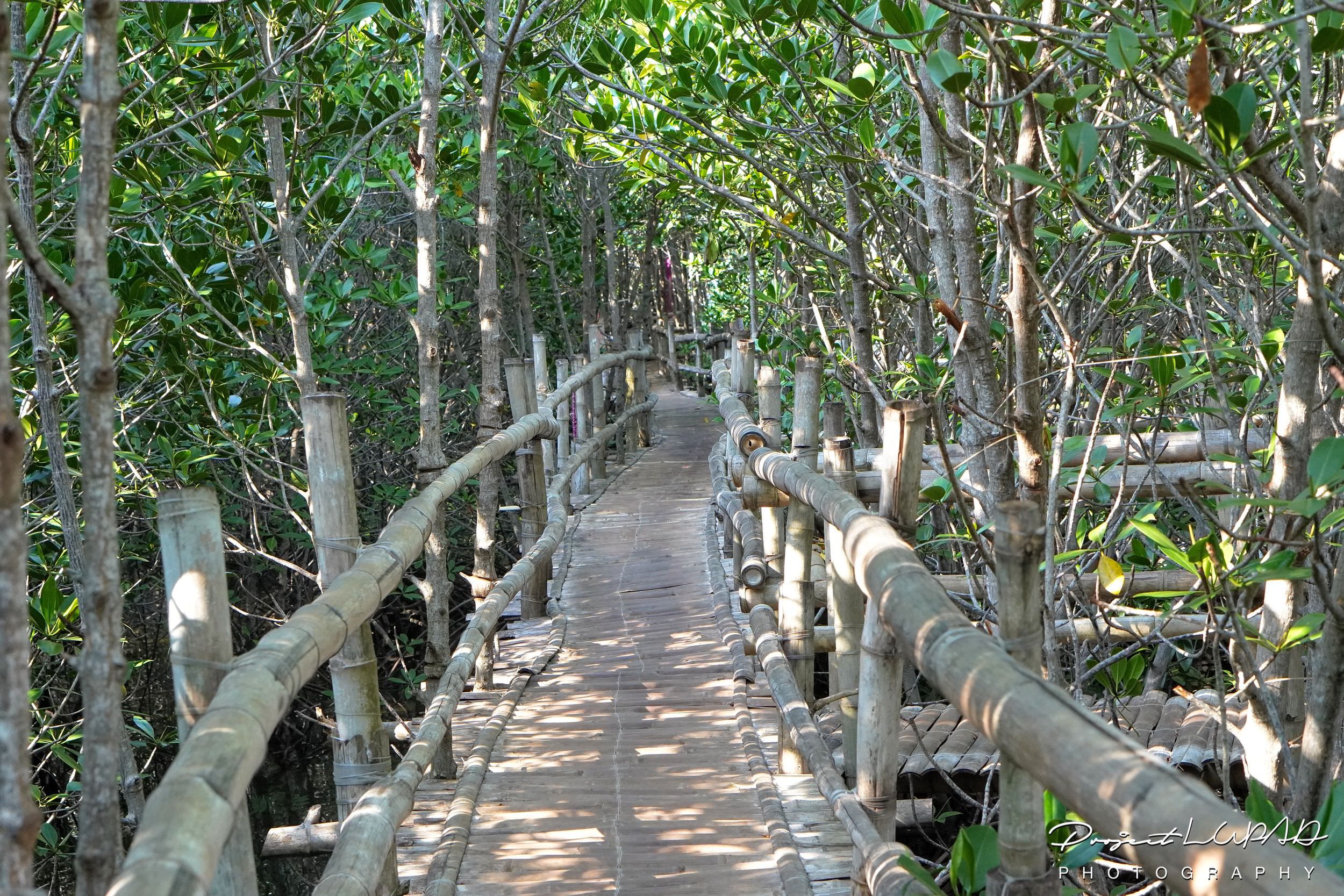 Must-Visit Tubajon Aquamarine Park in Misamis Oriental