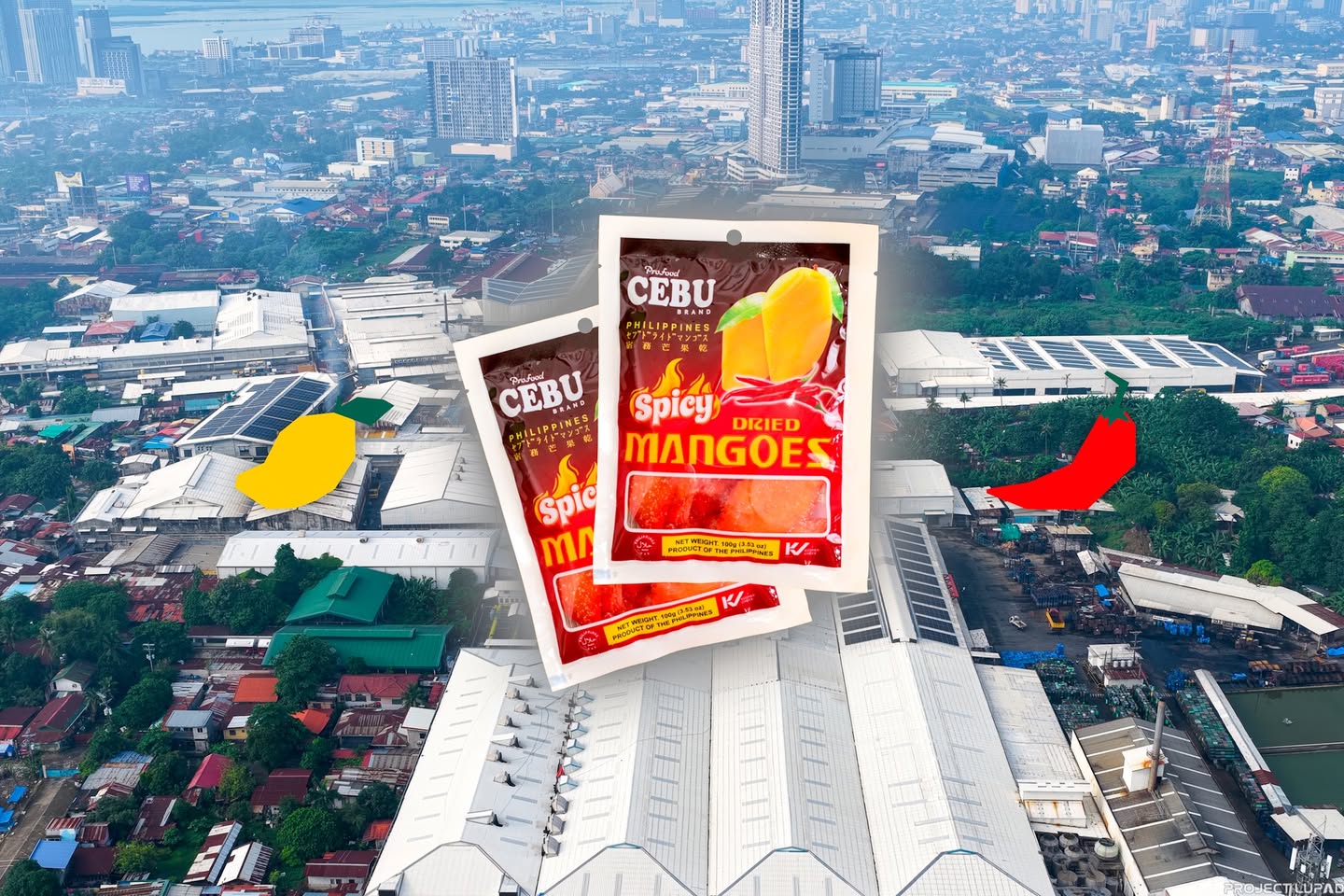 Cebu Brand case study by Project LUPAD