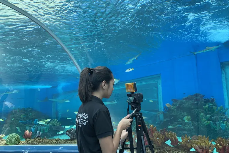 Project LUPAD crew: Ocean park