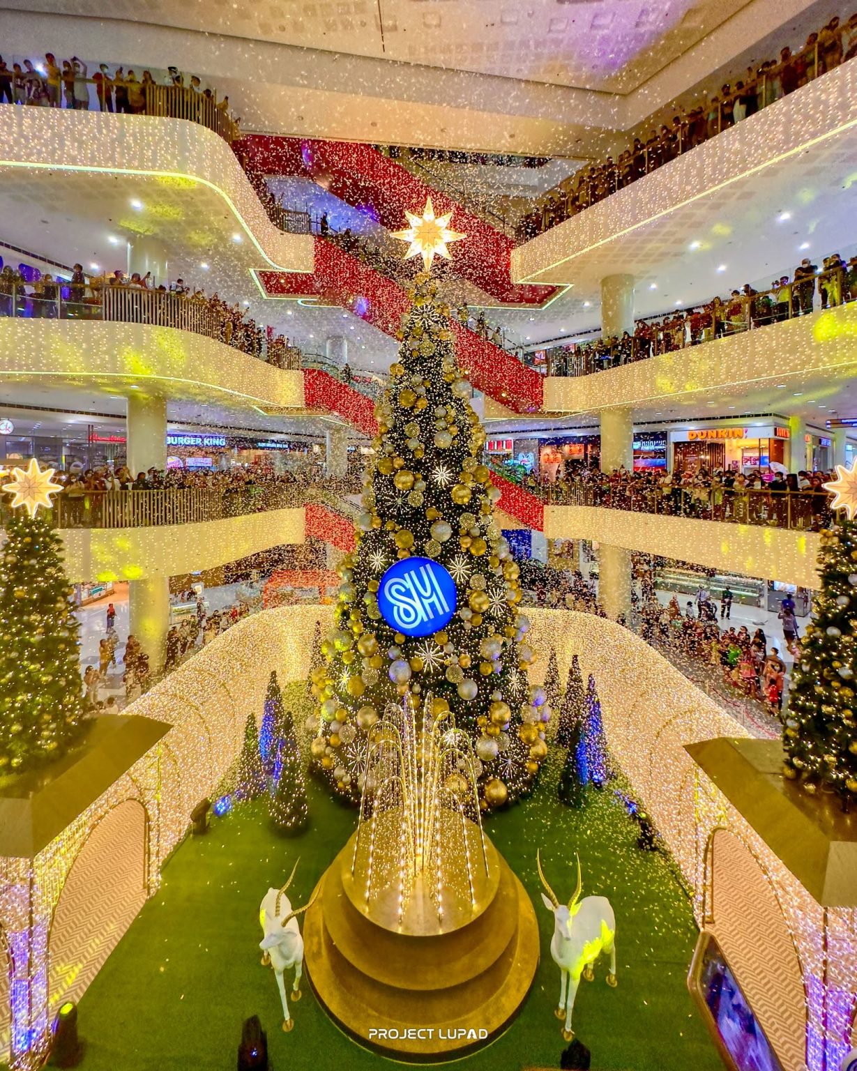 Christmas tree lighting at SM CDO Downtown Premier, featured in our SM case study